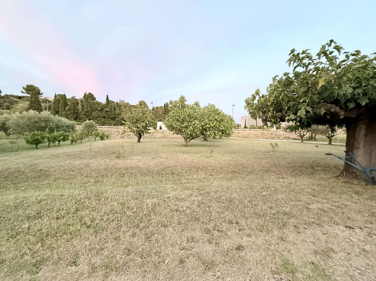  for sale terrain Vacqueyras Vaucluse 1