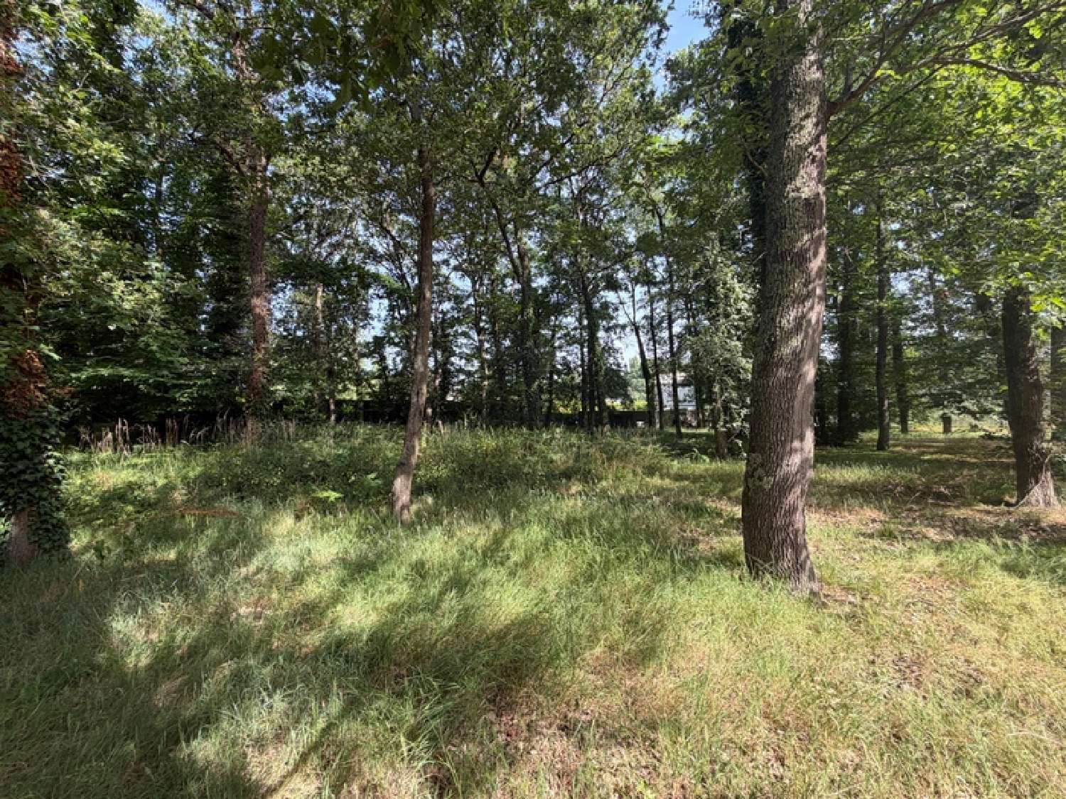  for sale terrain Vaulandry Maine-et-Loire 4