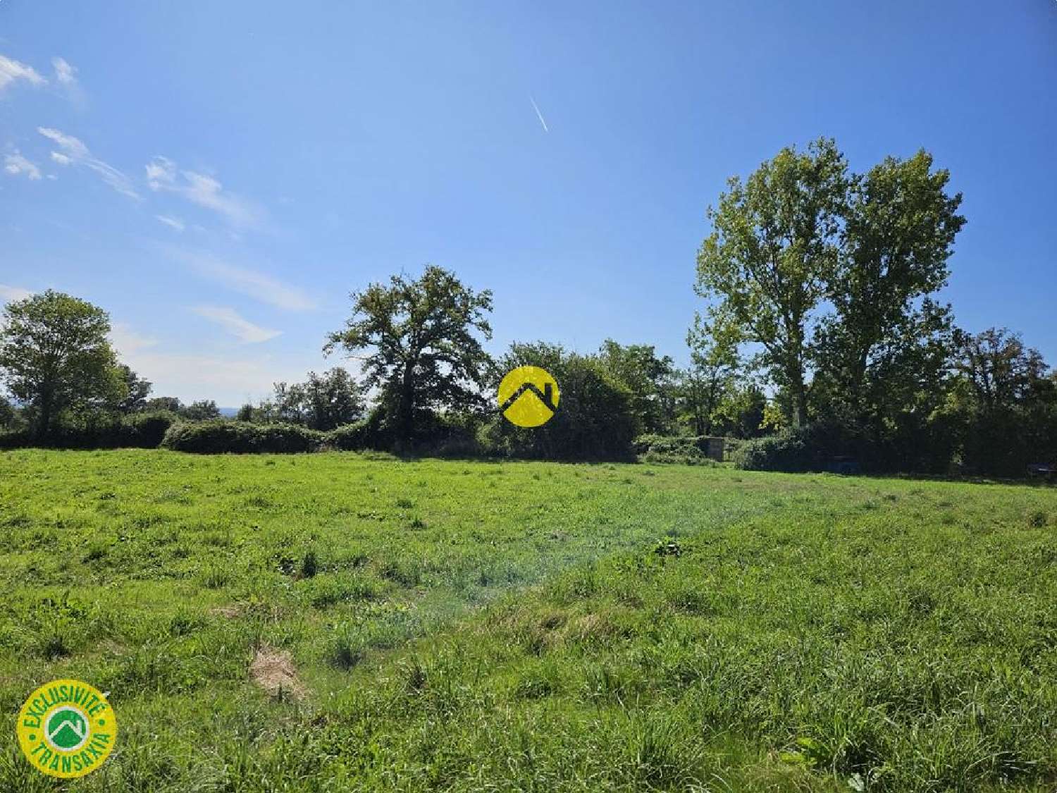 for sale terrain Venas Allier 3