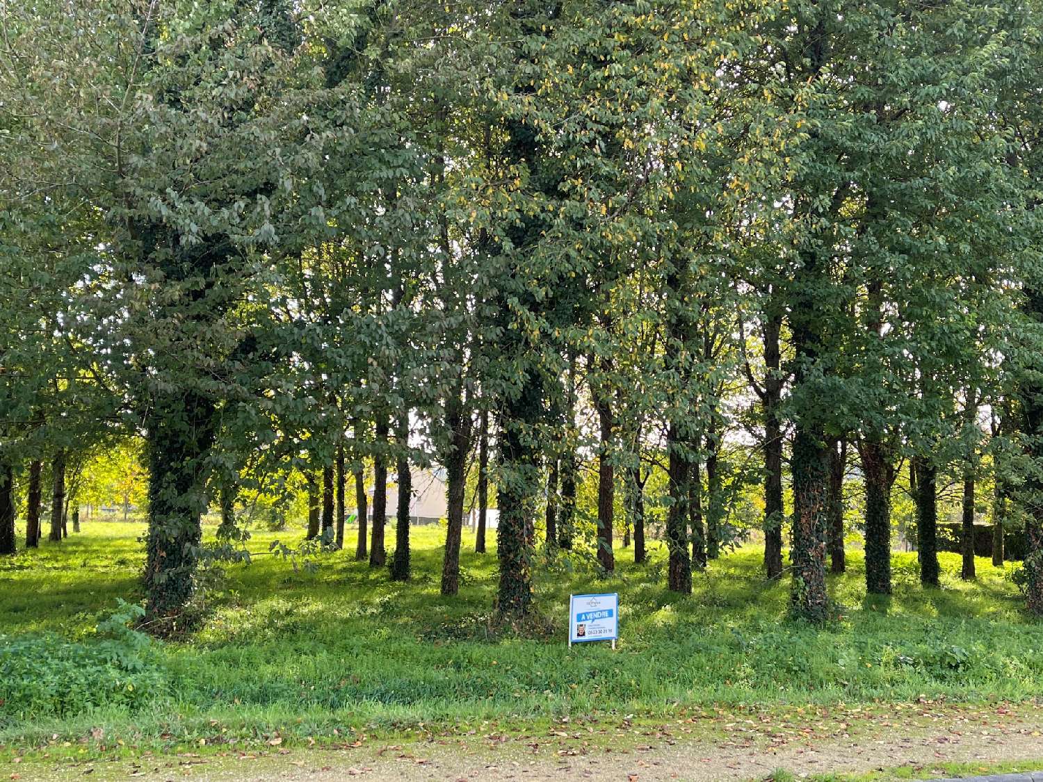 for sale terrain Vernoil Maine-et-Loire 1
