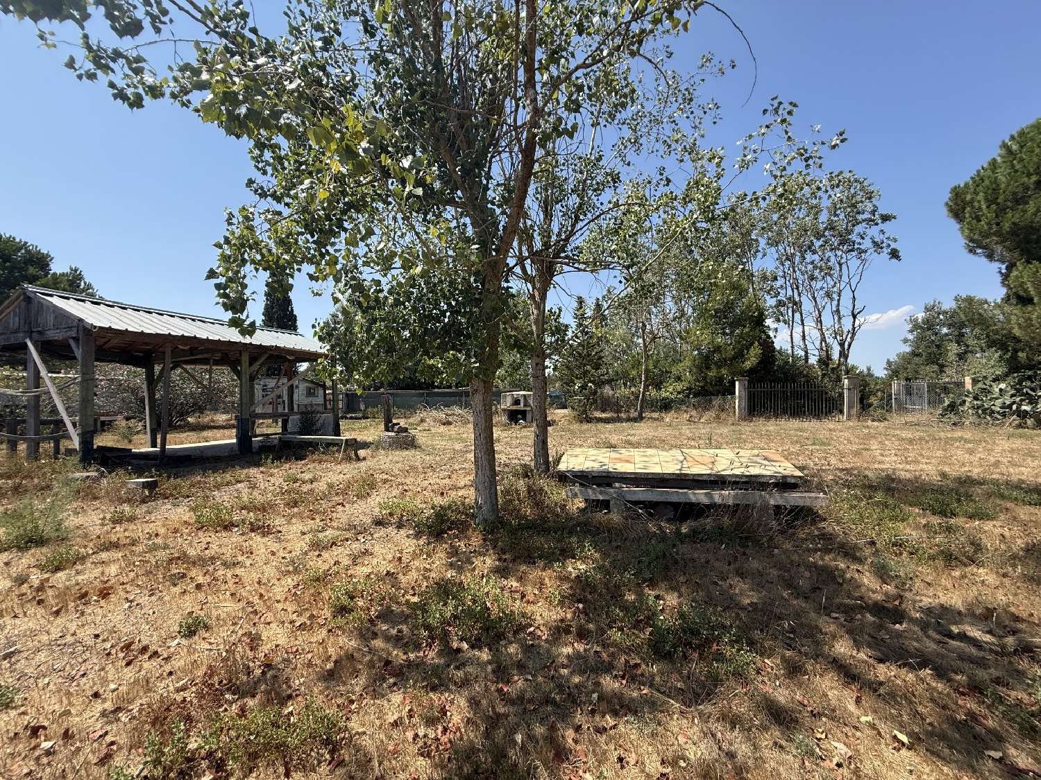 for sale terrain Vias Hérault 3