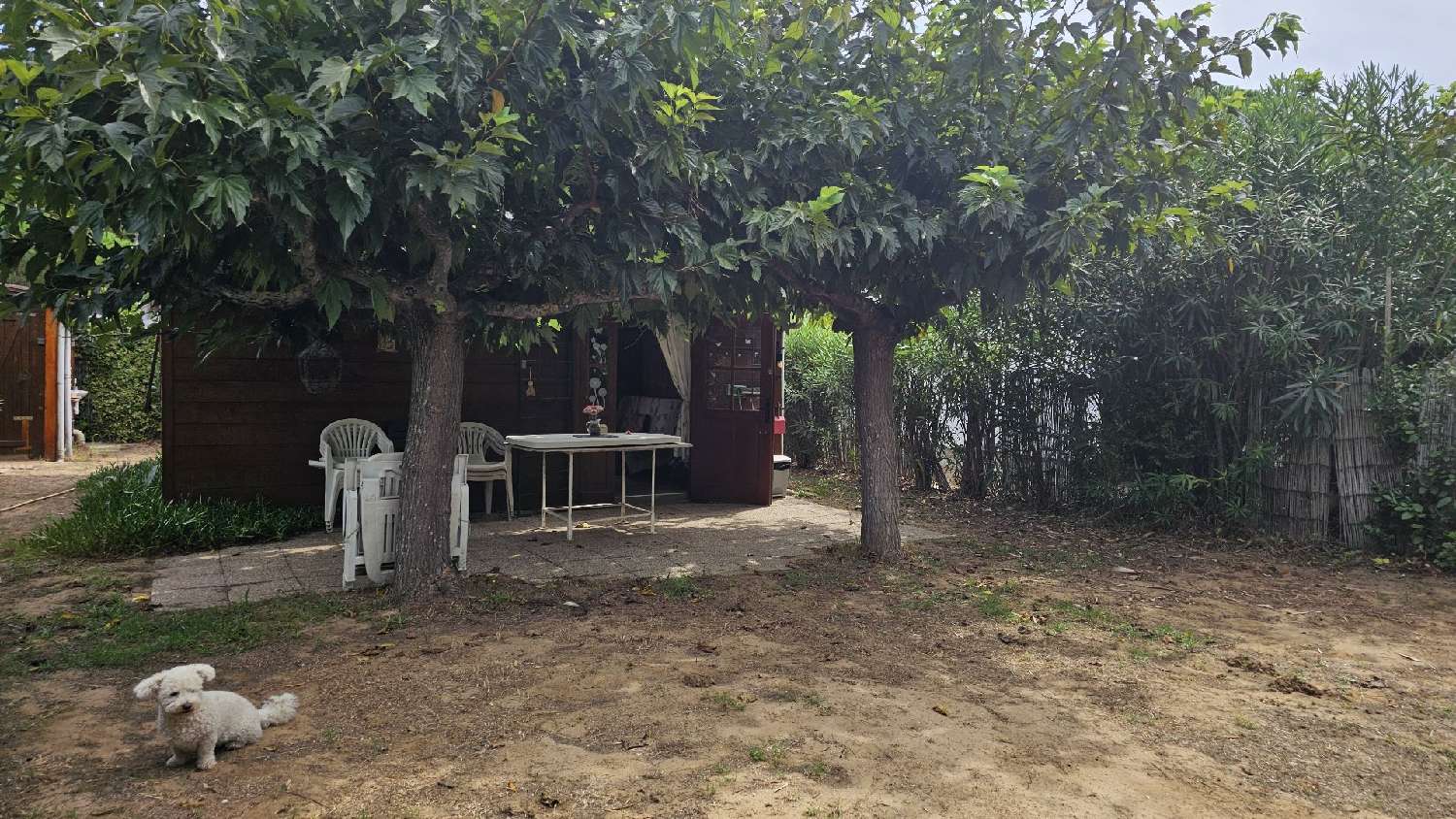  à vendre terrain Vias Hérault 1