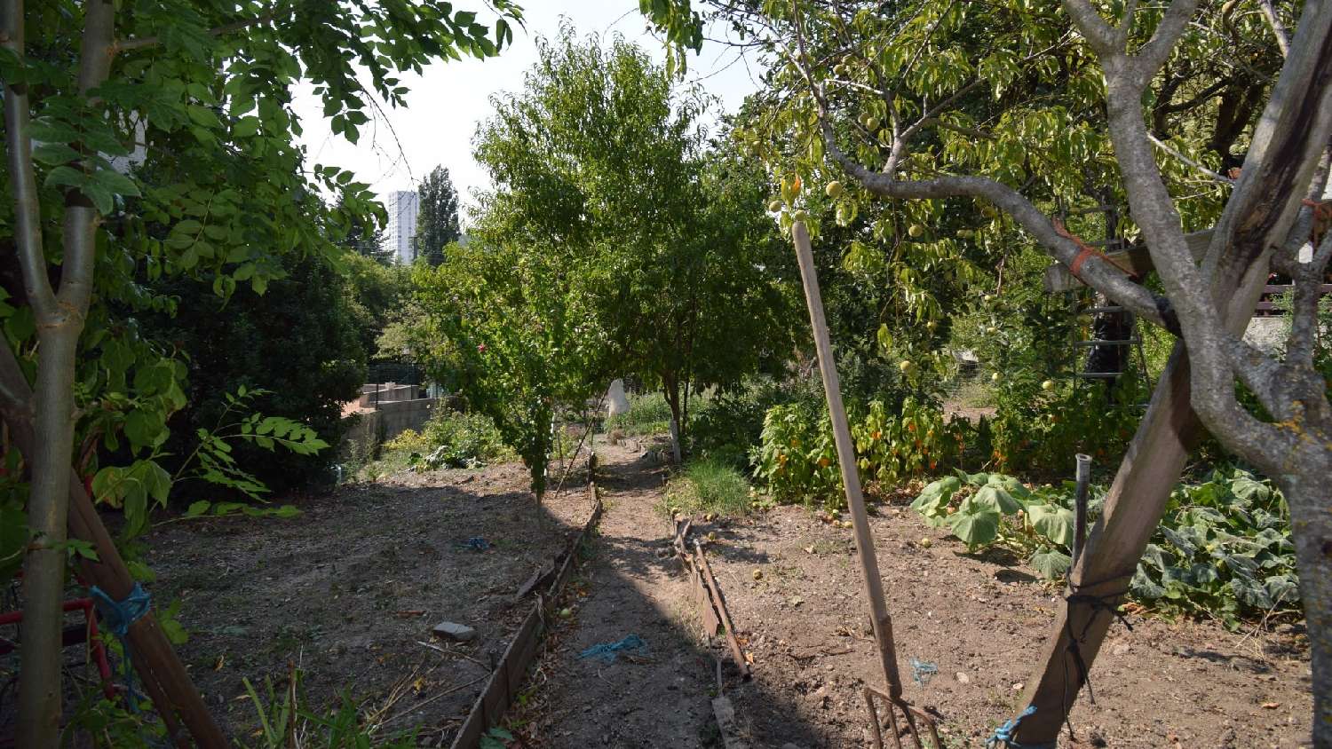 à vendre terrain Vichy Allier 3