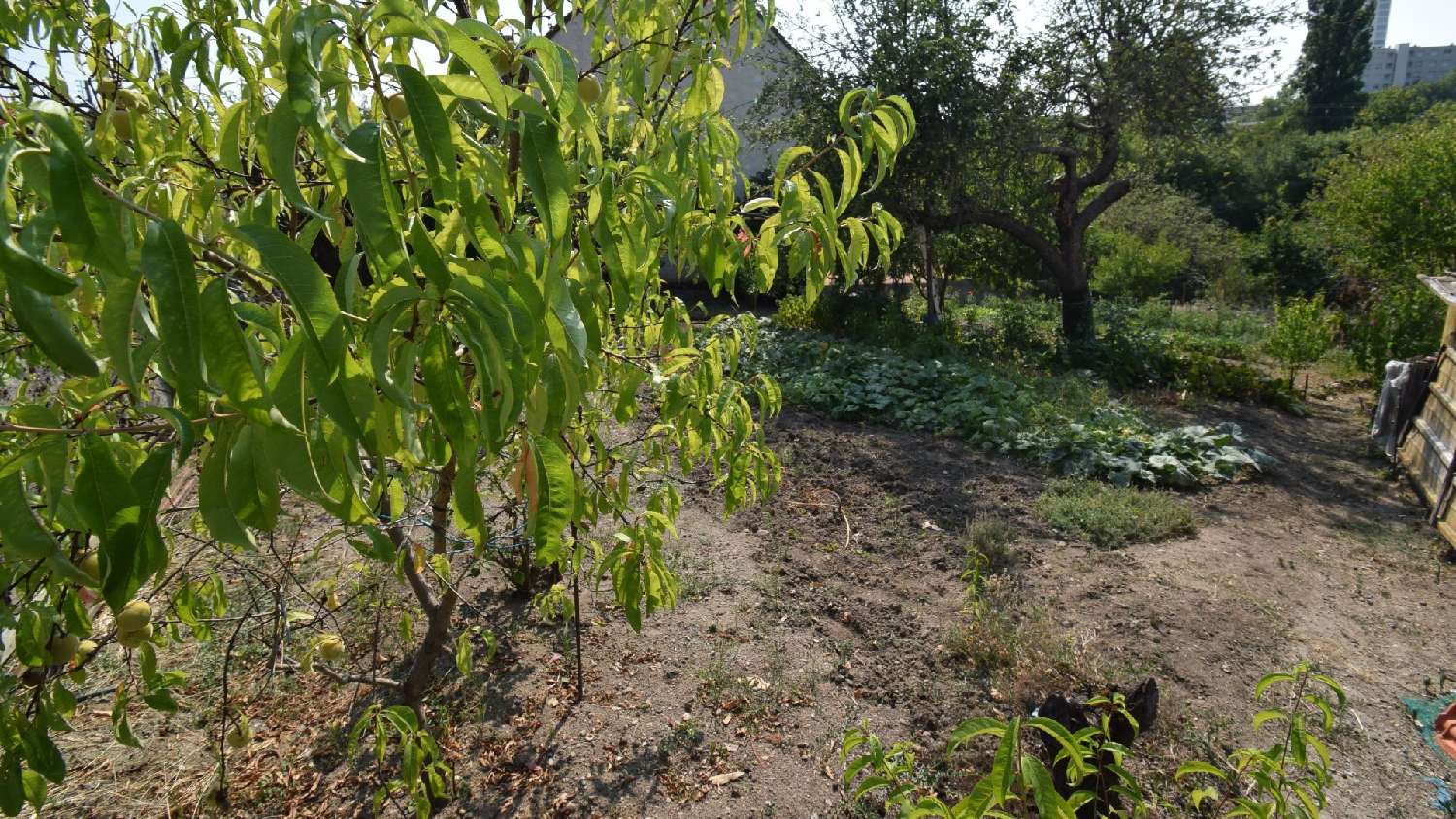 à vendre terrain Vichy Allier 4
