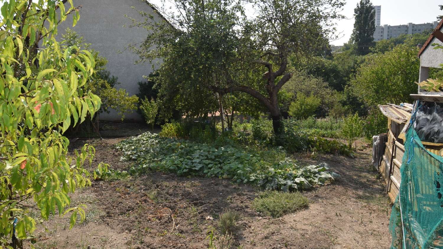 à vendre terrain Vichy Allier 5