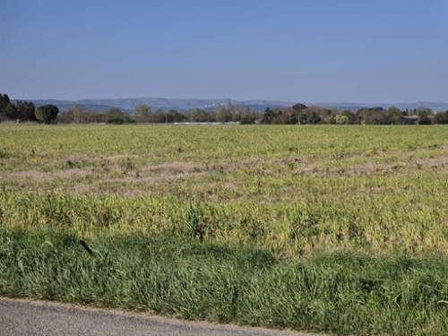 Villasavary Aude Grundstück foto