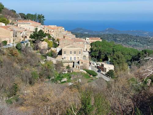Ville-di-Paraso Haute-Corse Grundstück Bild 7395405
