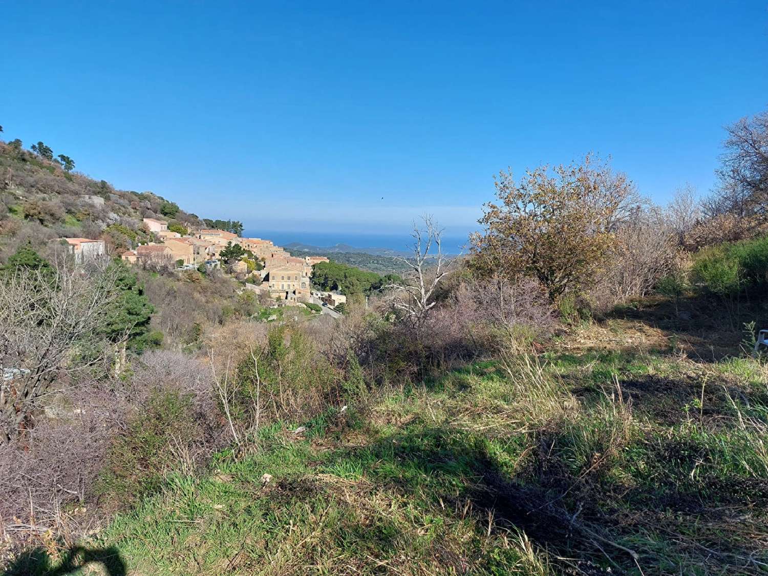 kaufen Grundstück Ville-di-Paraso Haute-Corse 5