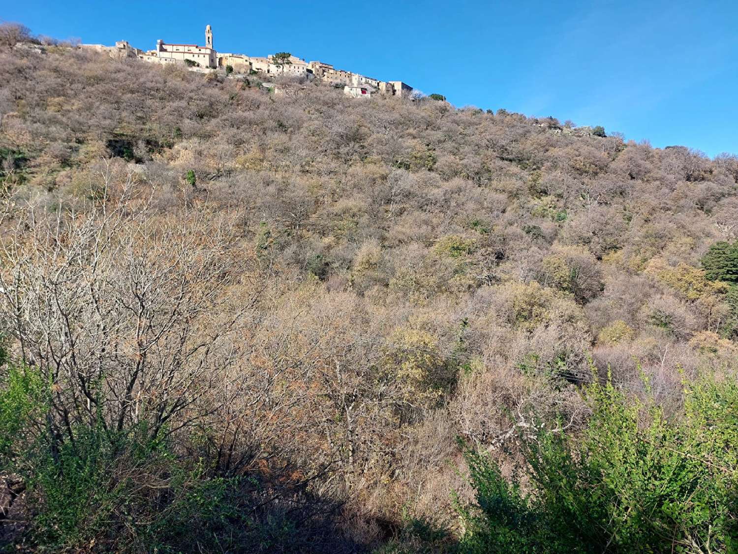 kaufen Grundstück Ville-di-Paraso Haute-Corse 6