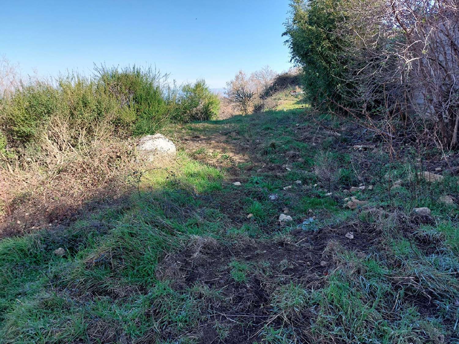 kaufen Grundstück Ville-di-Paraso Haute-Corse 7