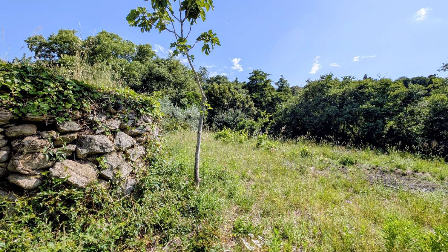  à vendre terrain Villelongue-dels-Monts Pyrénées-Orientales 1
