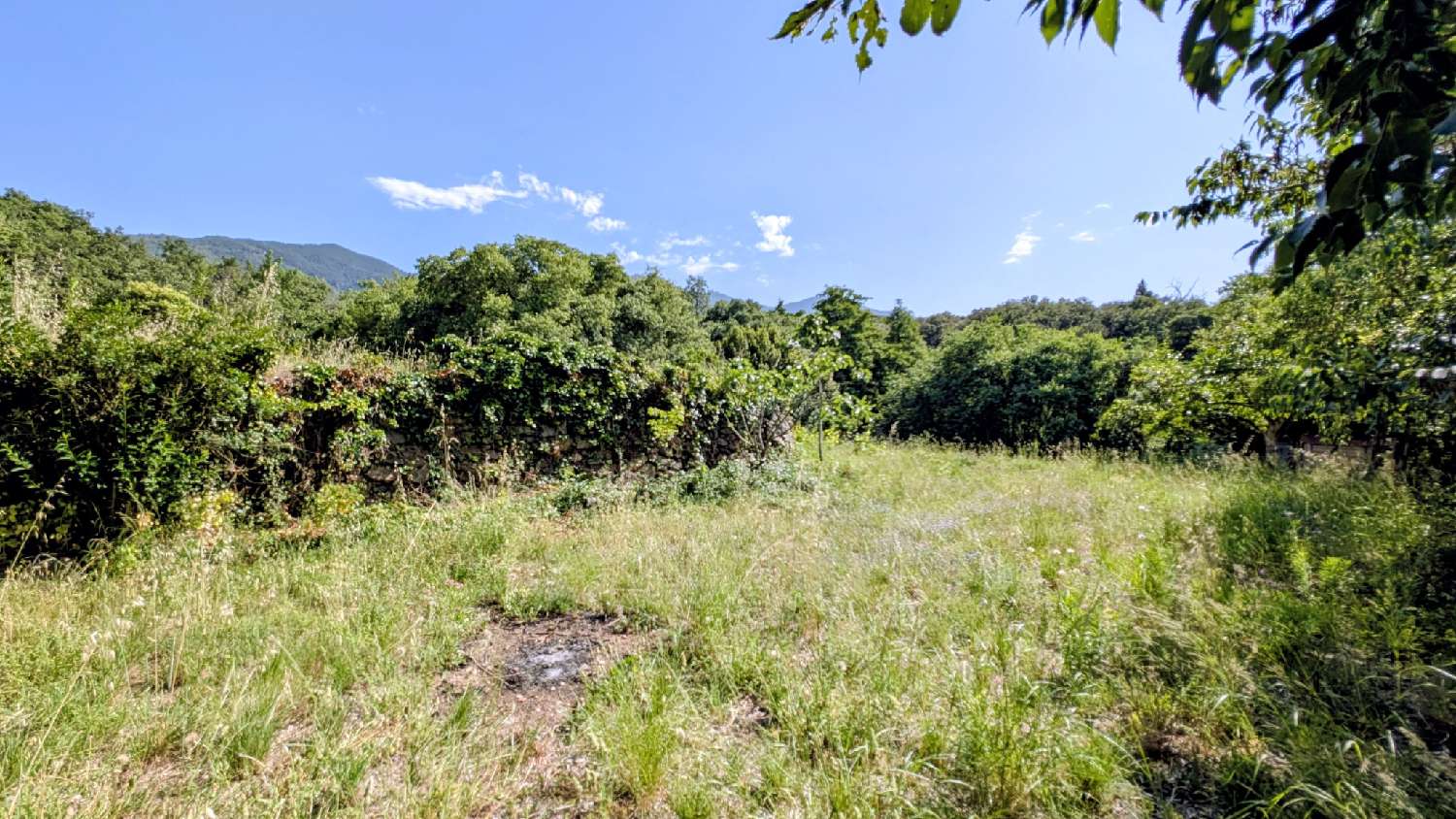  à vendre terrain Villelongue-dels-Monts Pyrénées-Orientales 4