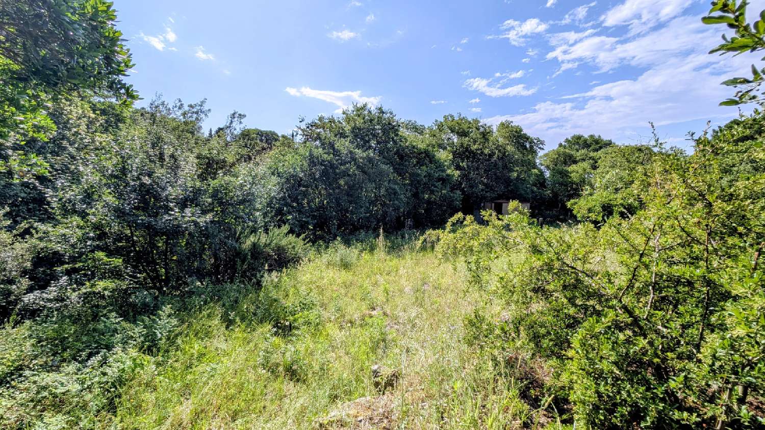  à vendre terrain Villelongue-dels-Monts Pyrénées-Orientales 6