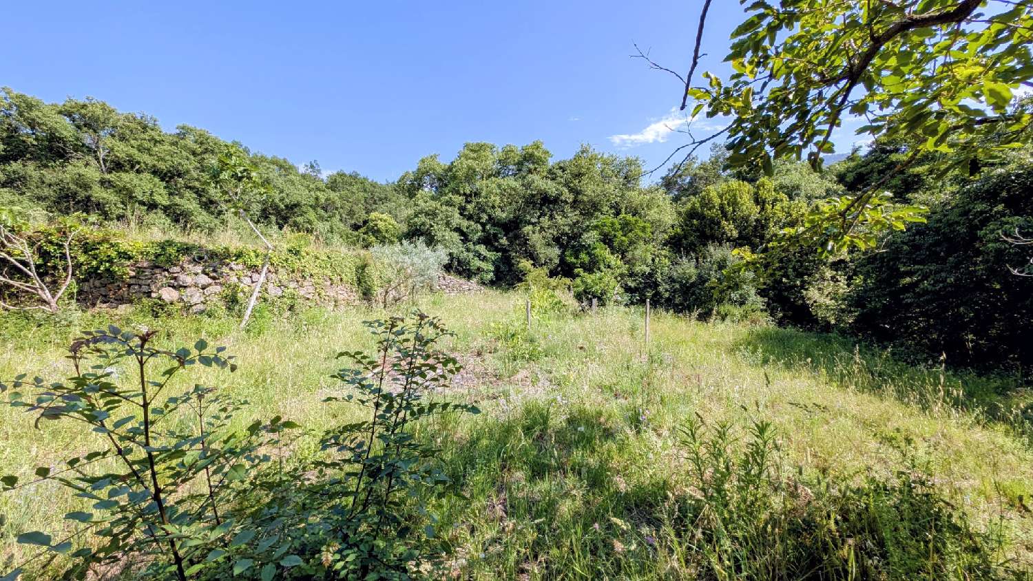  à vendre terrain Villelongue-dels-Monts Pyrénées-Orientales 8