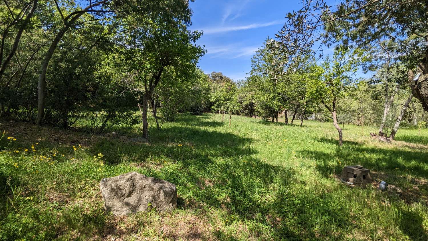 en venta terreno Villelongue-dels-Monts Pirineo Oriental 1