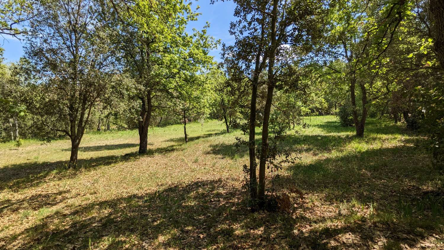 en venta terreno Villelongue-dels-Monts Pirineo Oriental 3