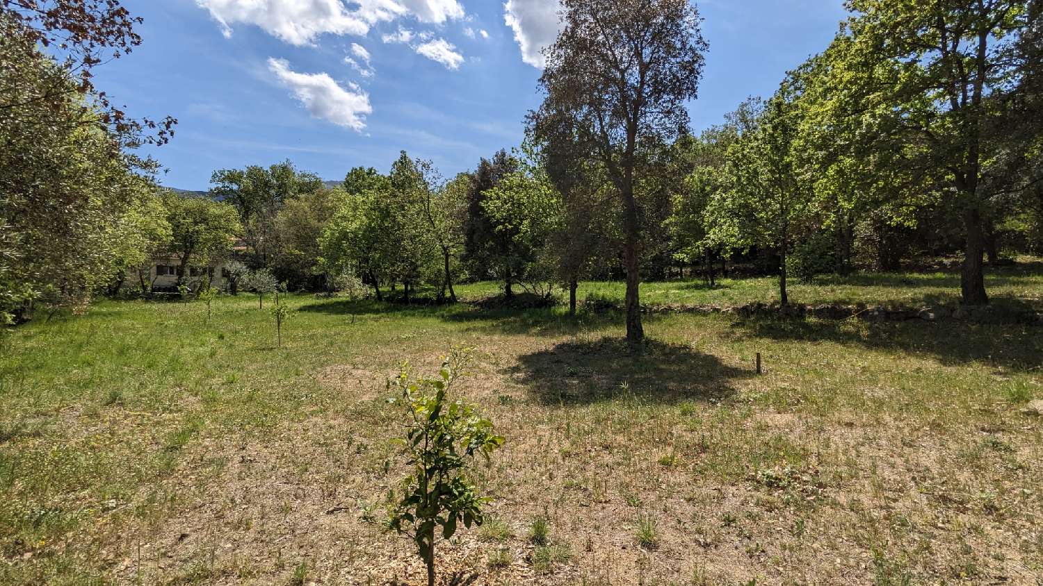 en venta terreno Villelongue-dels-Monts Pirineo Oriental 4
