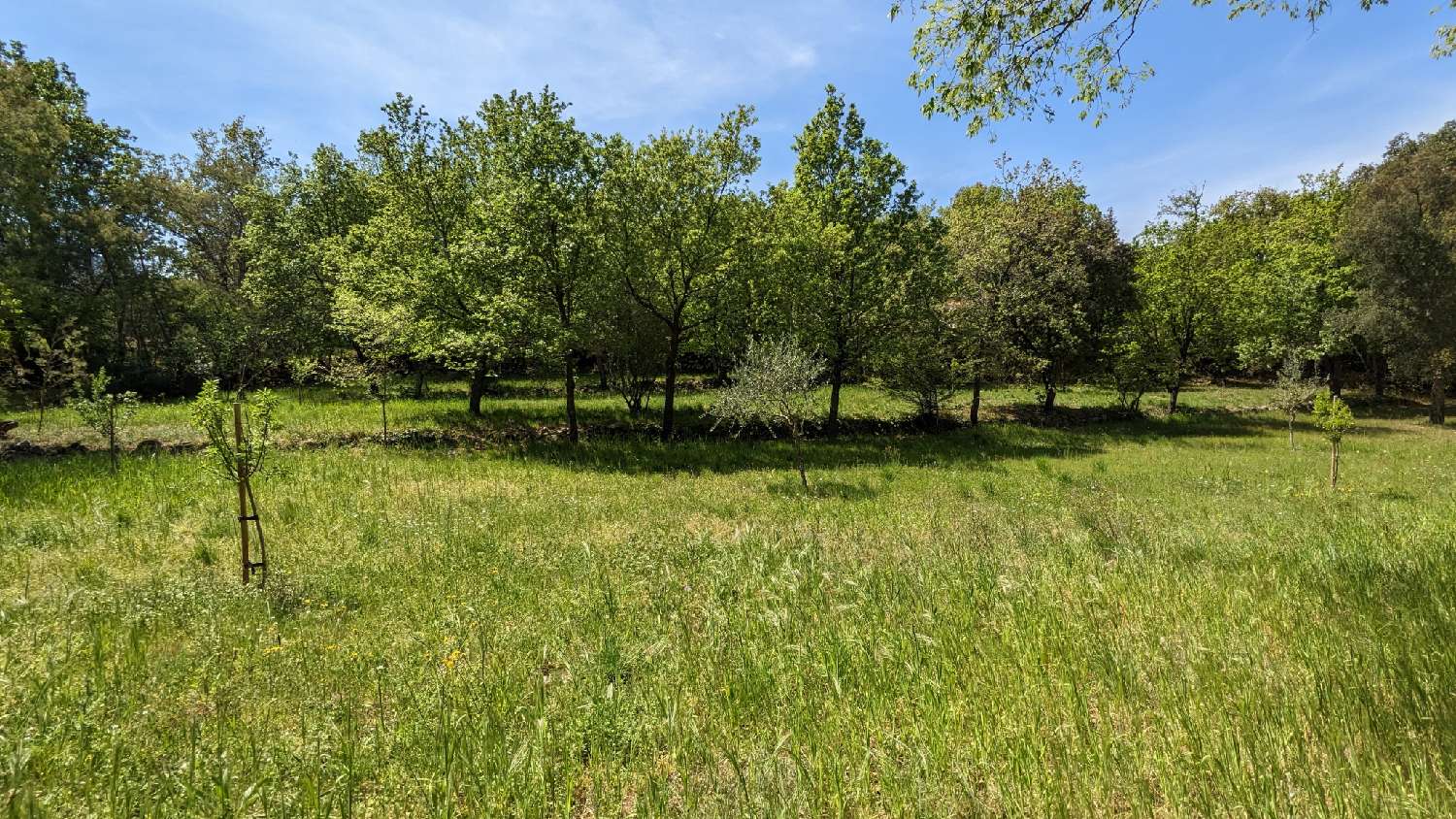 en venta terreno Villelongue-dels-Monts Pirineo Oriental 5