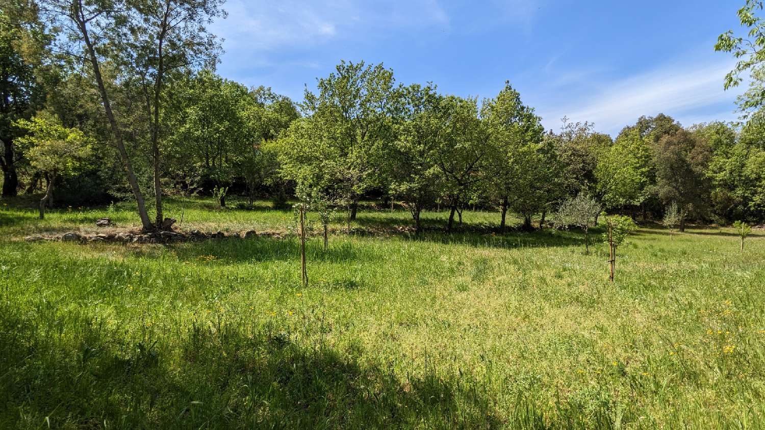 en venta terreno Villelongue-dels-Monts Pirineo Oriental 6