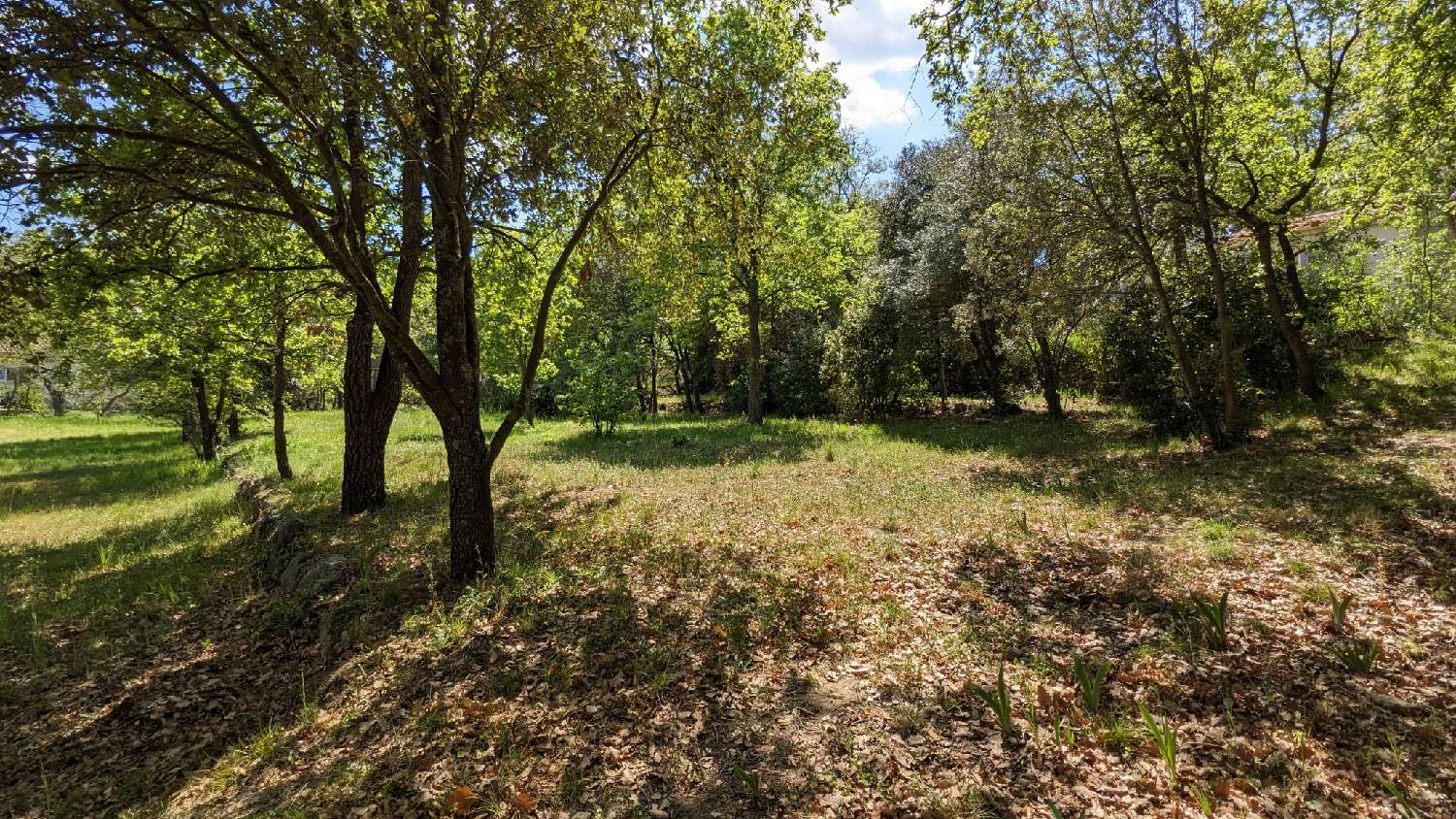 en venta terreno Villelongue-dels-Monts Pirineo Oriental 7