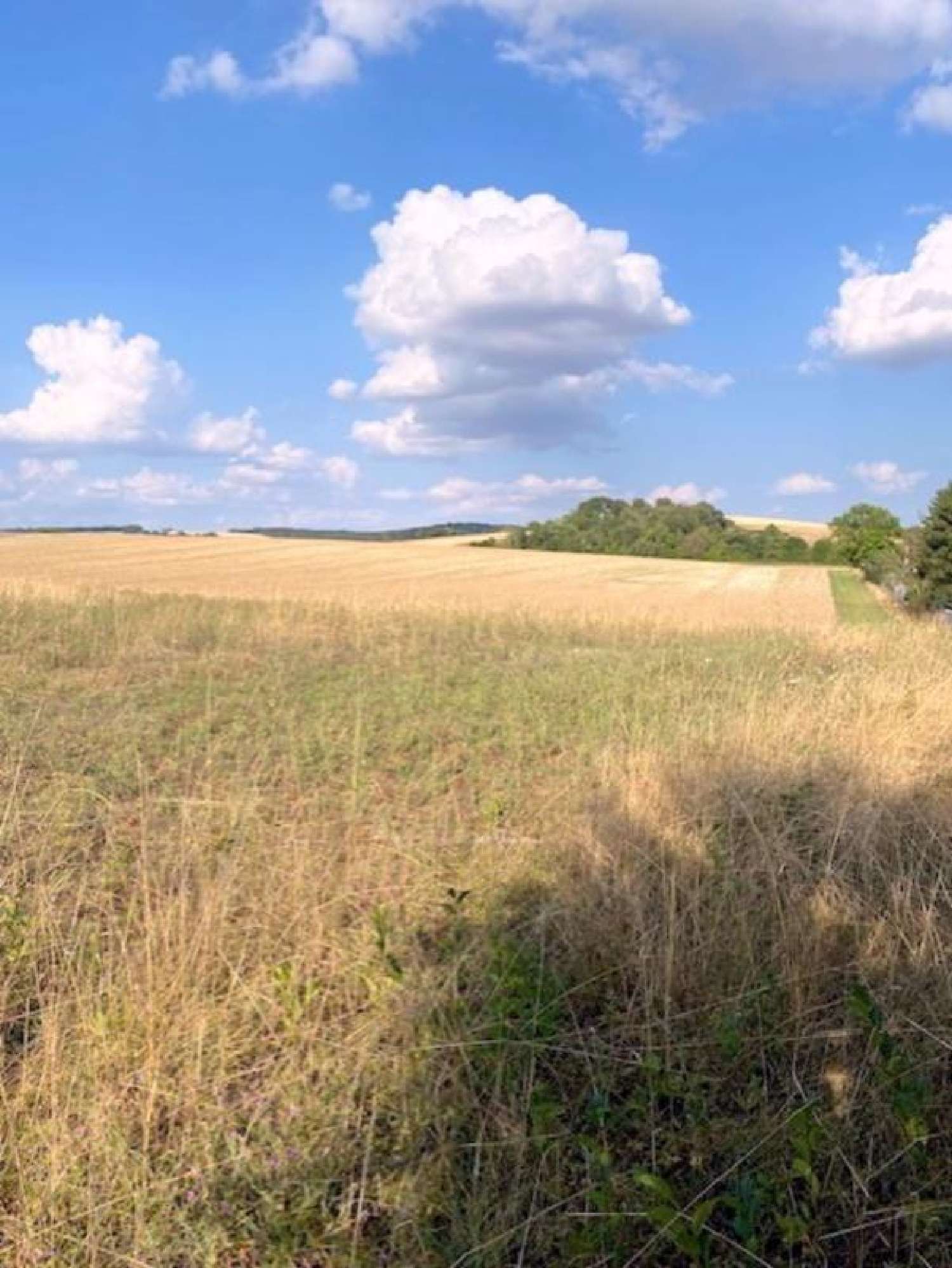 for sale terrain Villeneuve-l'Archevêque Yonne 1