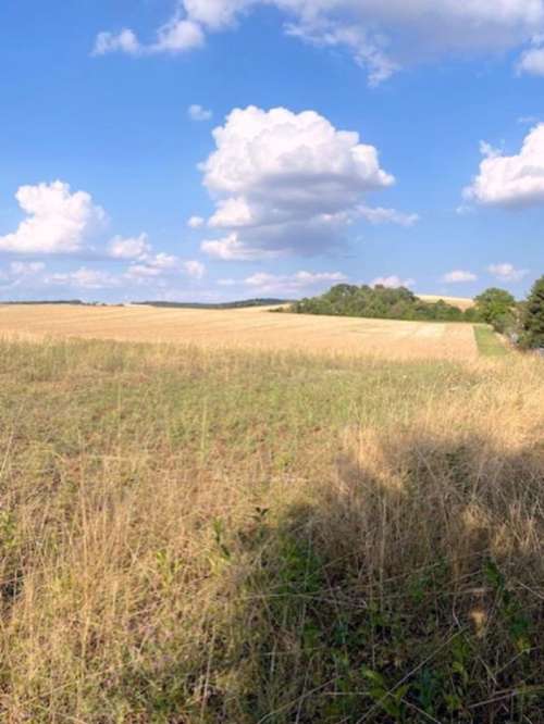 Villeneuve-l'Archevêque Yonne terrain foto 7385790