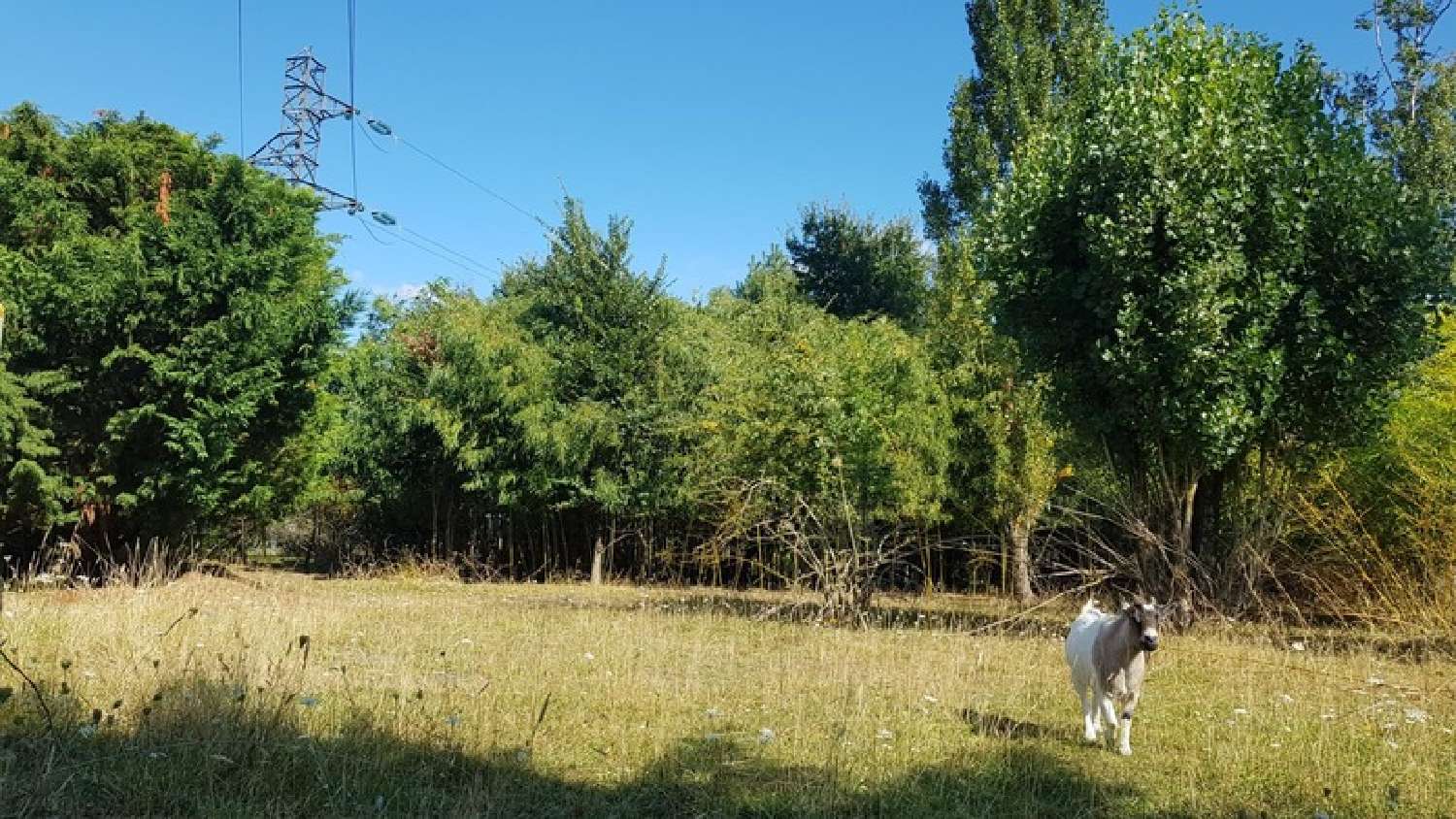  en venta terreno Villeperdue Indre-et-Loire 4