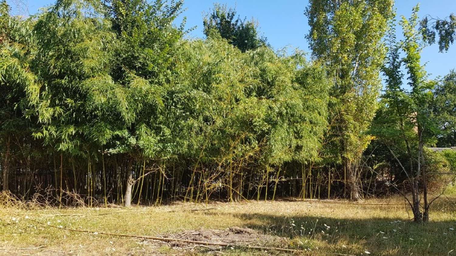  en venta terreno Villeperdue Indre-et-Loire 5