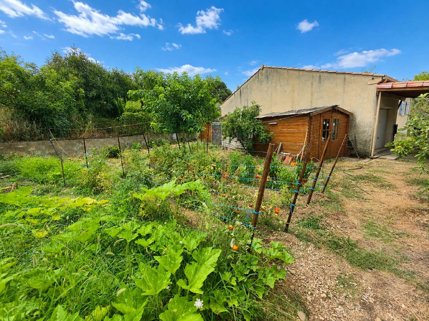 kaufen Villa Aniane Hérault 7