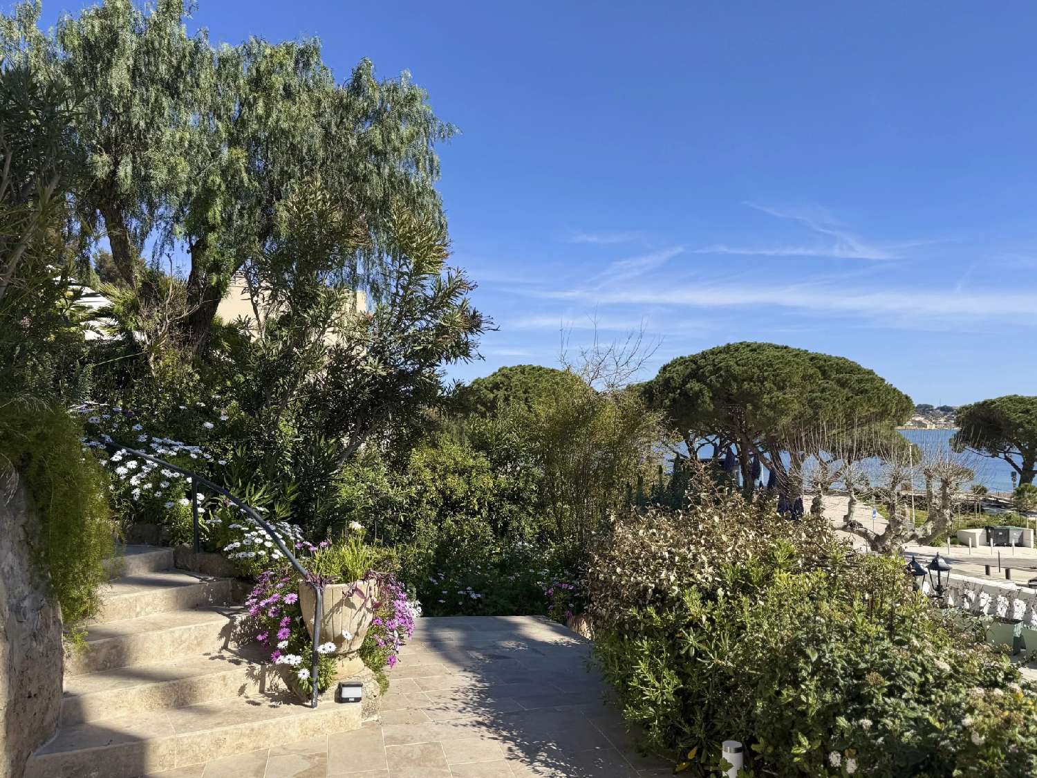for sale villa Bandol Var 6