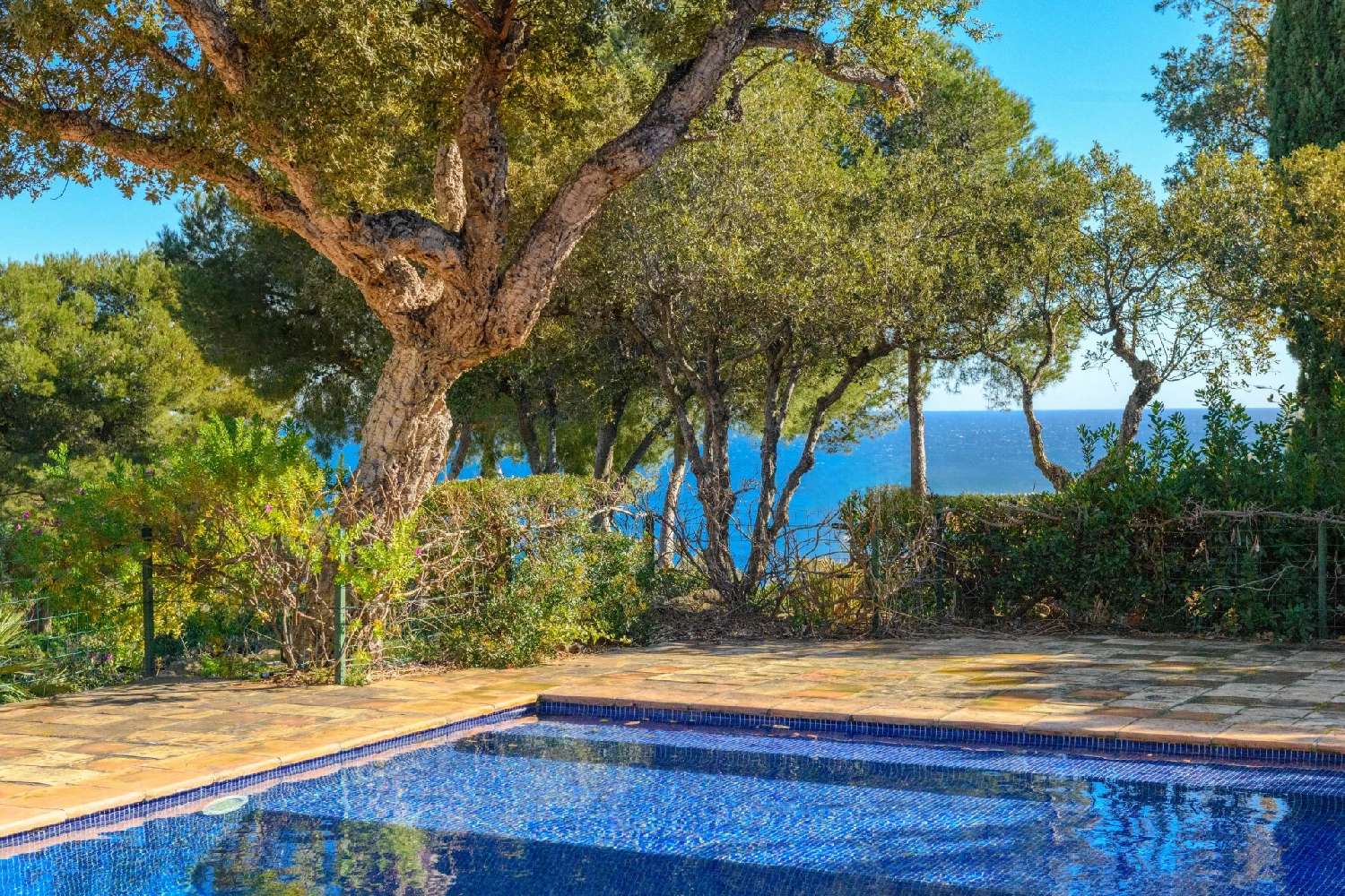 en venta villa Bormes-les-Mimosas Var 7