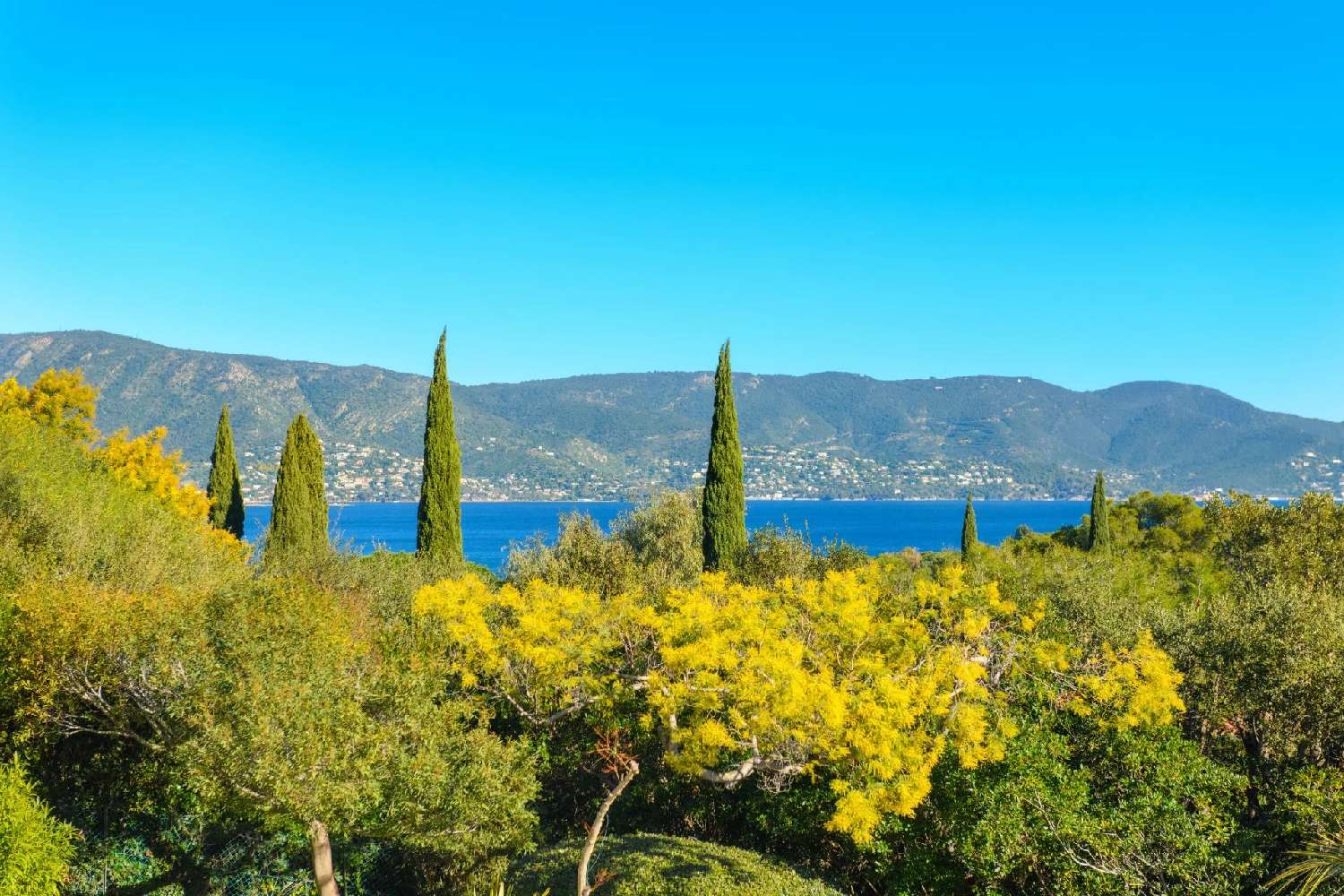 à vendre villa Bormes-les-Mimosas Var 4