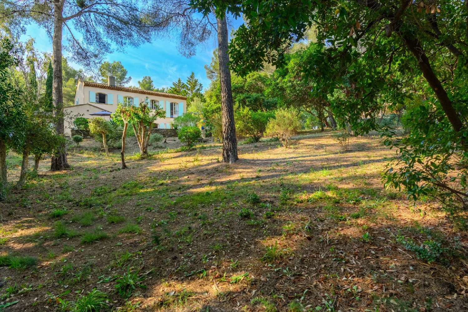 à vendre villa Bormes-les-Mimosas Var 7