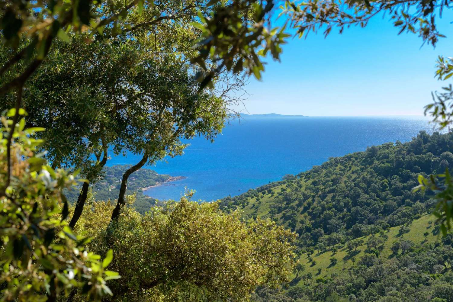 en venta villa Bormes-les-Mimosas Var 3