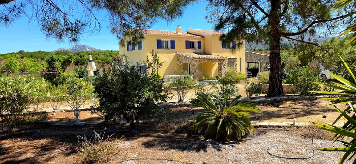 kaufen Villa Calenzana Haute-Corse 3