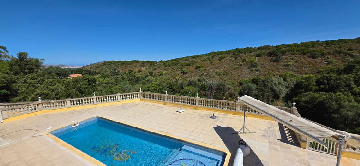kaufen Villa Calenzana Haute-Corse 5