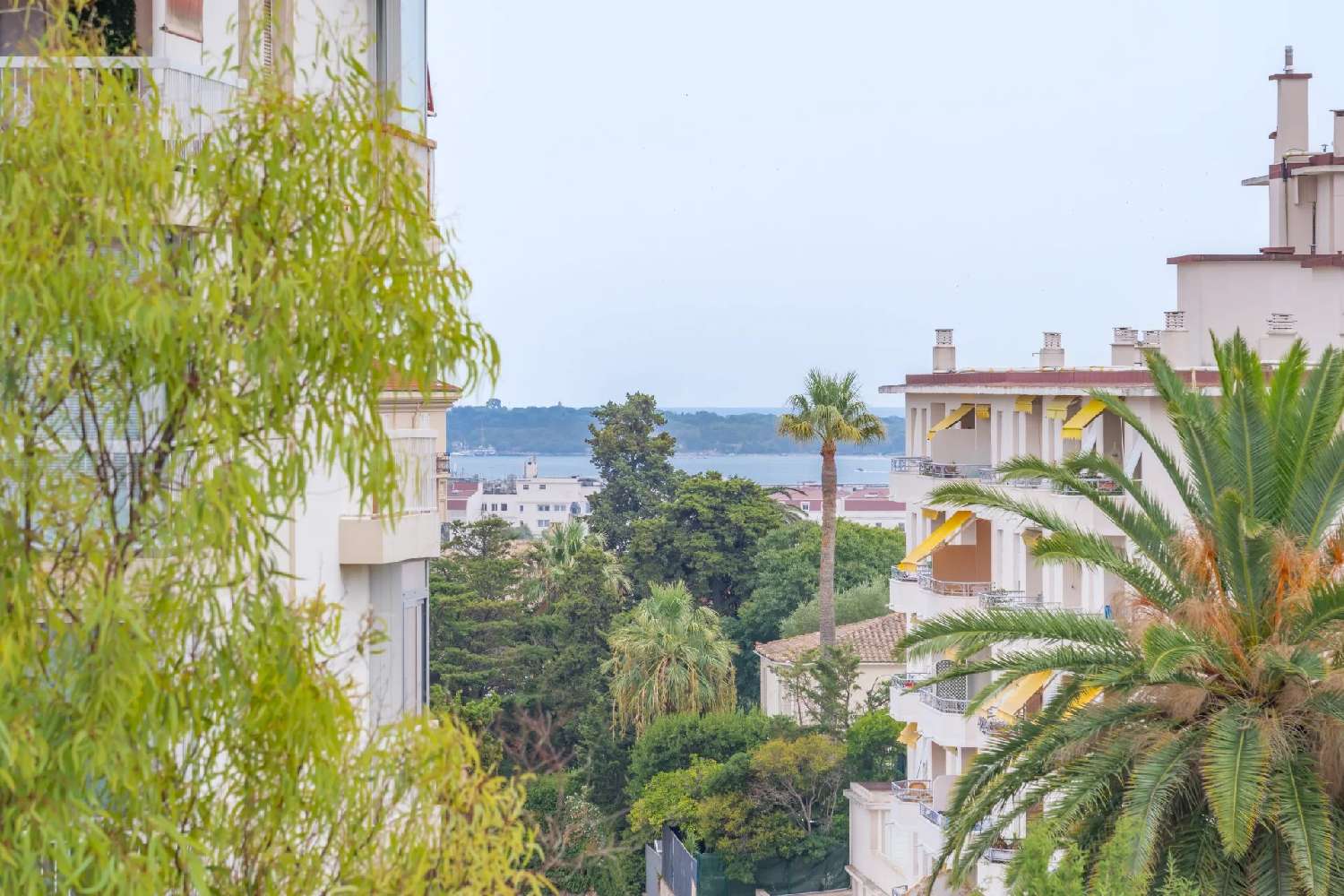 kaufen Villa Cannes Alpes-Maritimes 3
