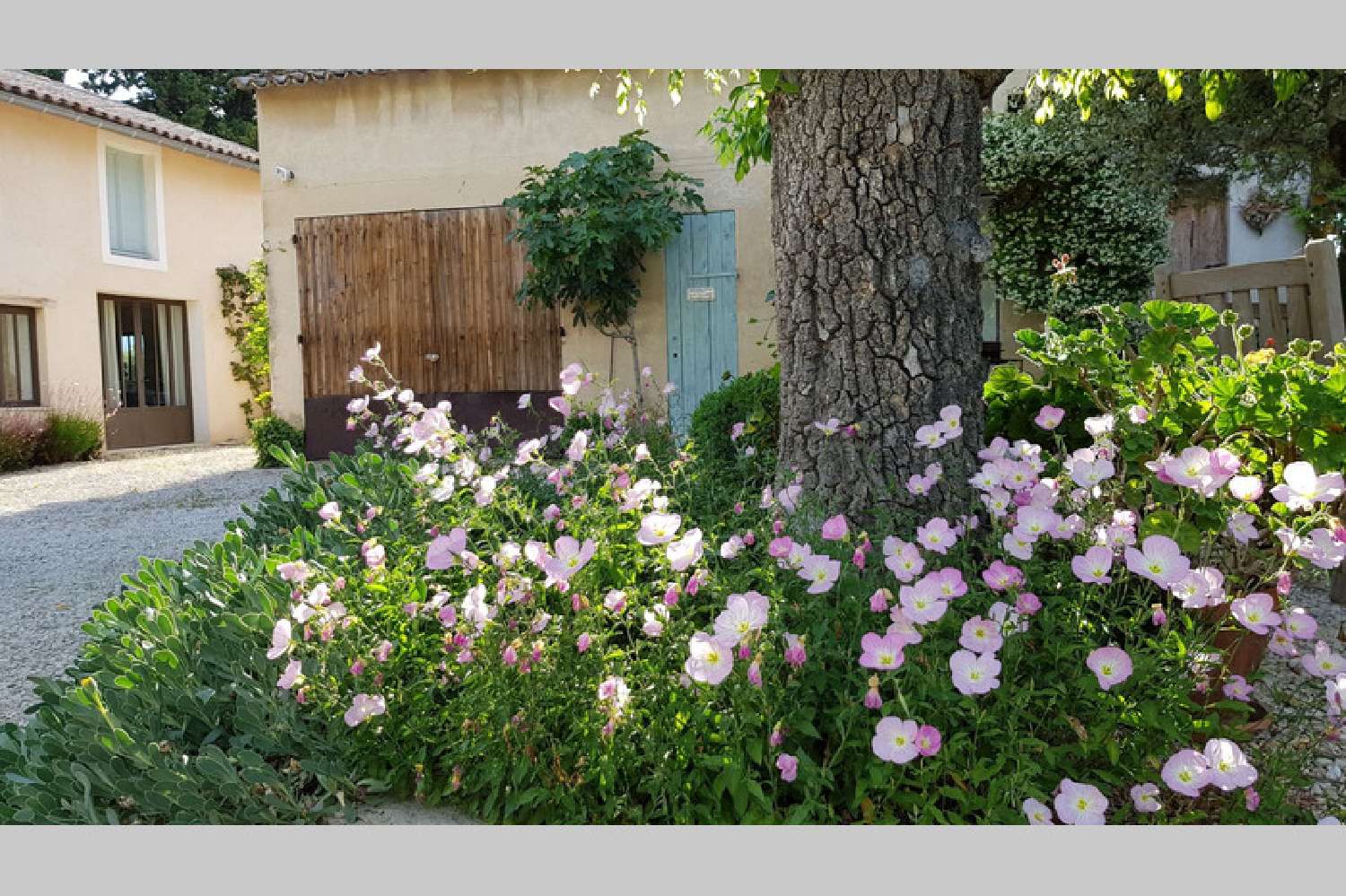 te koop villa Caromb Vaucluse 5