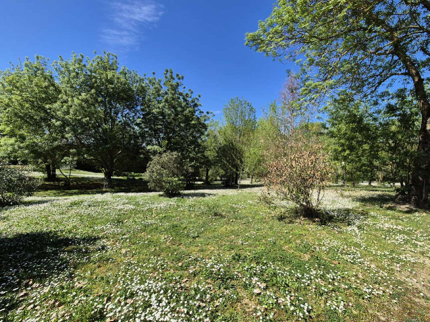 for sale villa Castelnaudary Aude 3