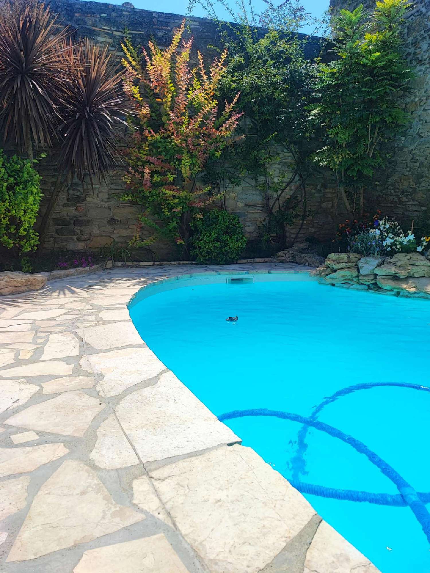 à vendre villa Castelnaudary Aude 3