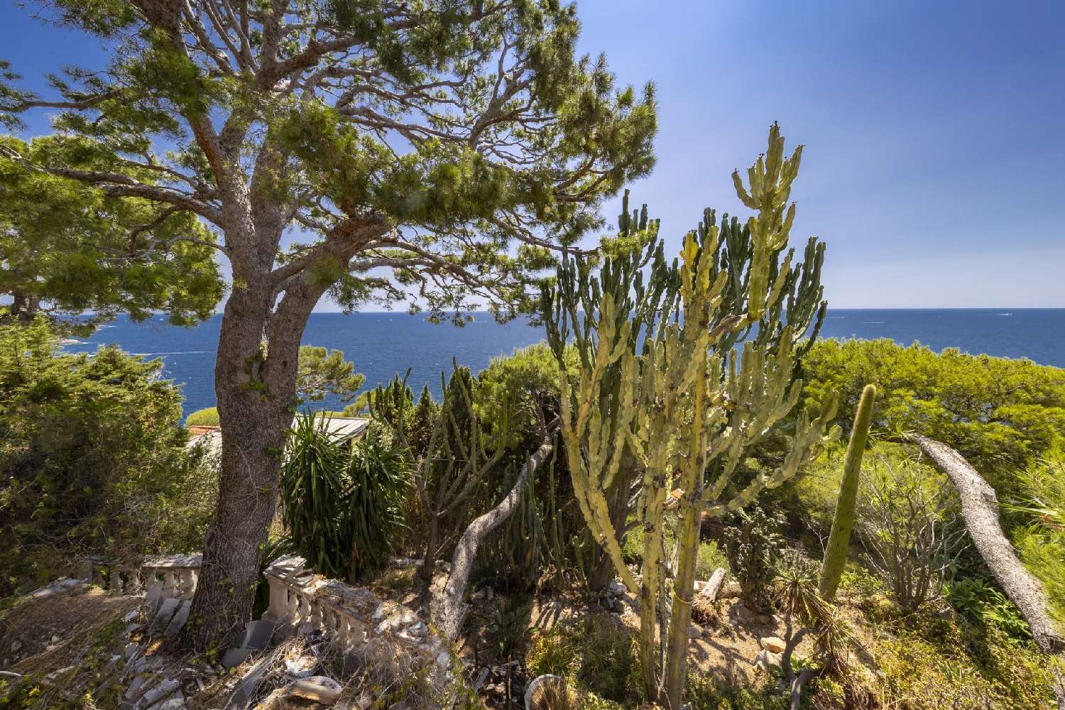 te koop villa Éze Alpes-Maritimes 4