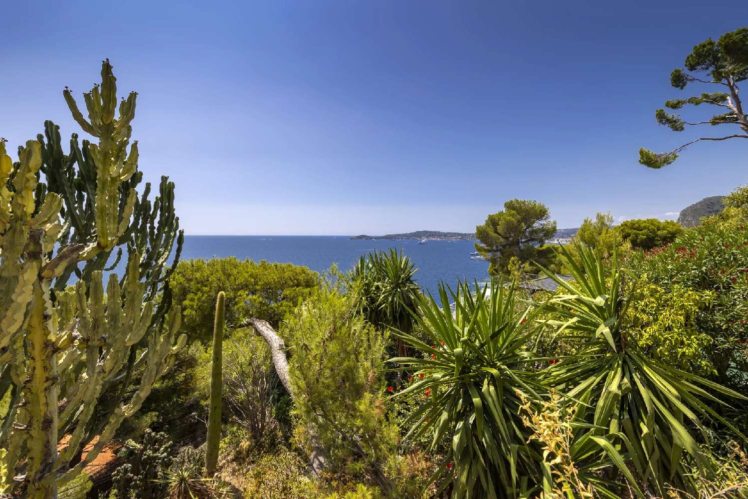 te koop villa Éze Alpes-Maritimes 5