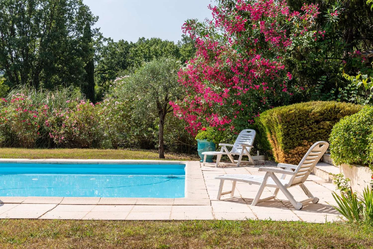  à vendre villa Grasse Alpes-Maritimes 3