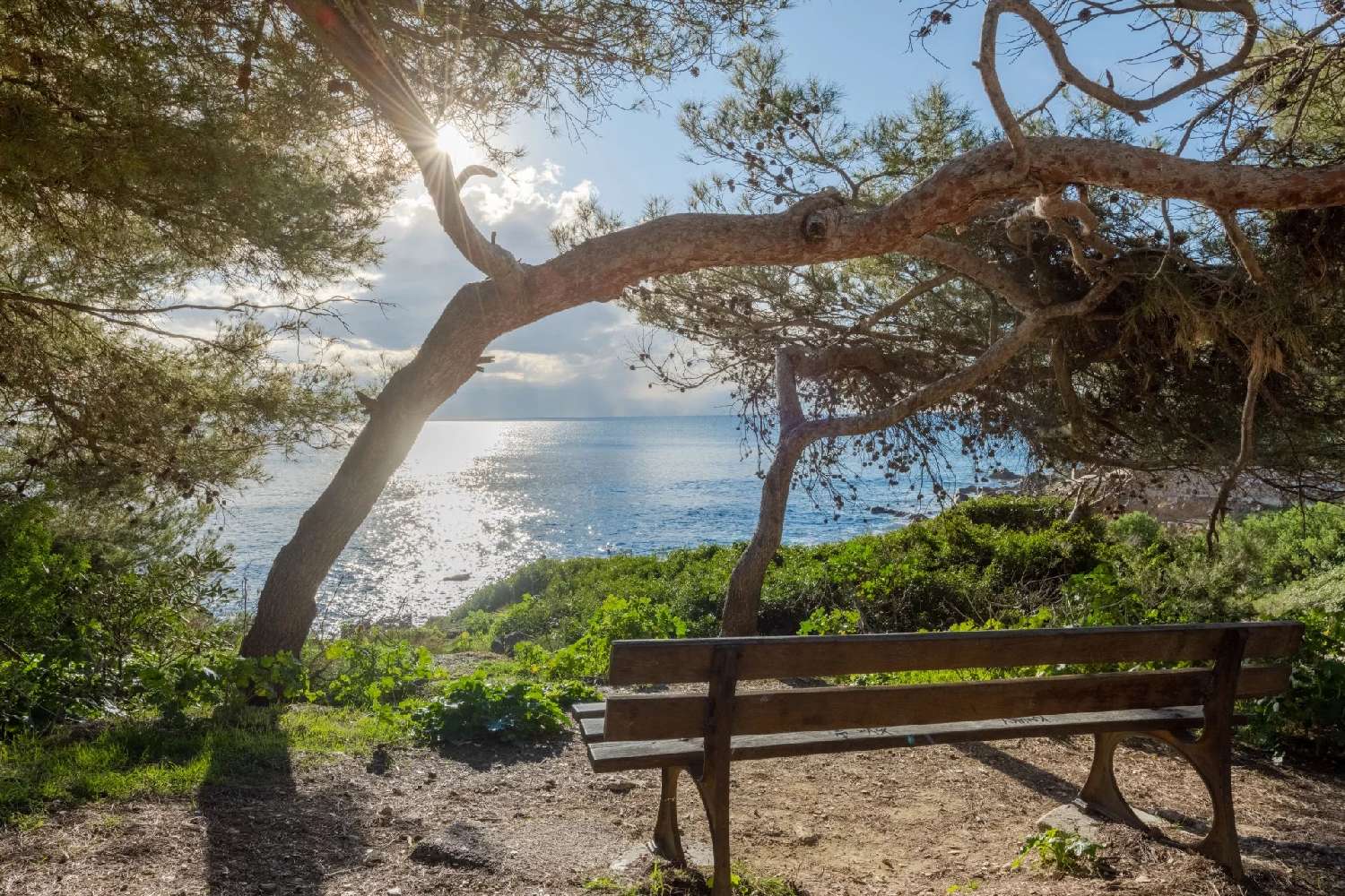 en venta villa La Seyne-sur-Mer Var 1