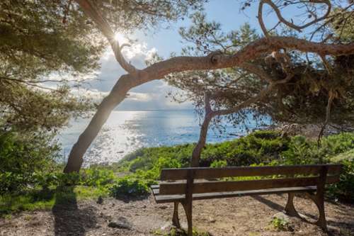 La Seyne-sur-Mer Var villa foto 7391925