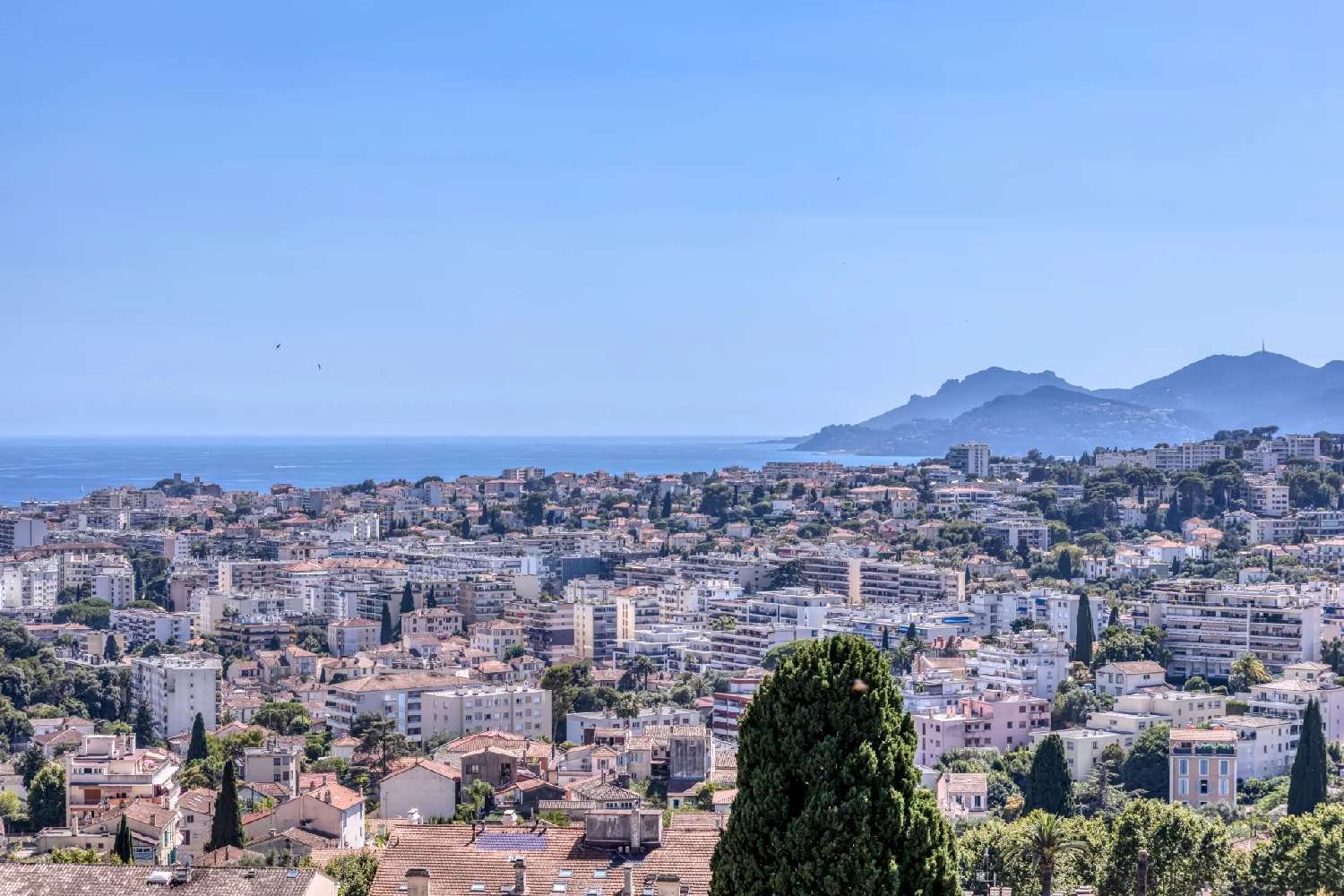  te koop villa Le Cannet Alpes-Maritimes 2