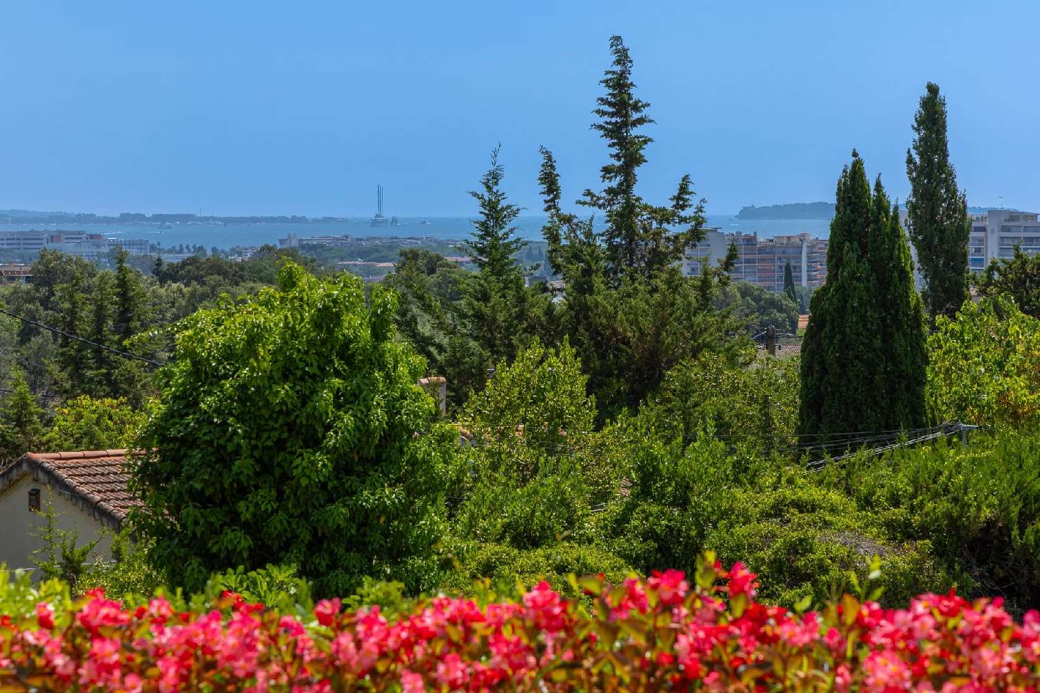 for sale villa Mandelieu-la-Napoule Alpes-Maritimes 3