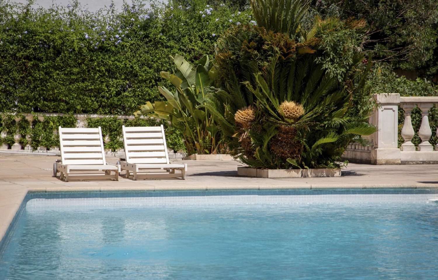 en venta villa Mandelieu-la-Napoule Alpes-Maritimes 2