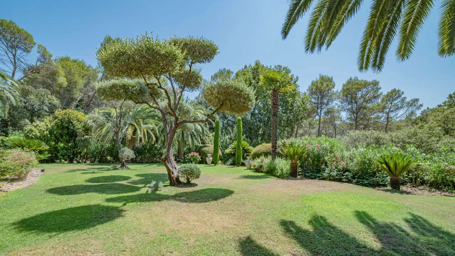 à vendre villa Mougins Alpes-Maritimes 6