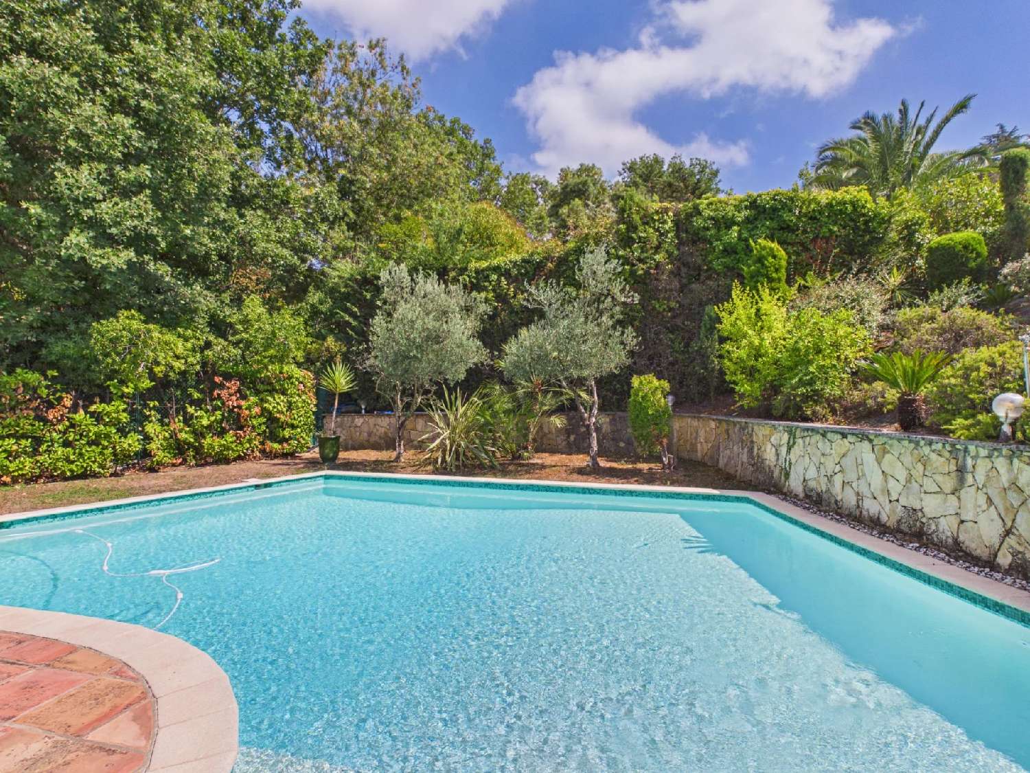 kaufen Villa Mougins Alpes-Maritimes 5